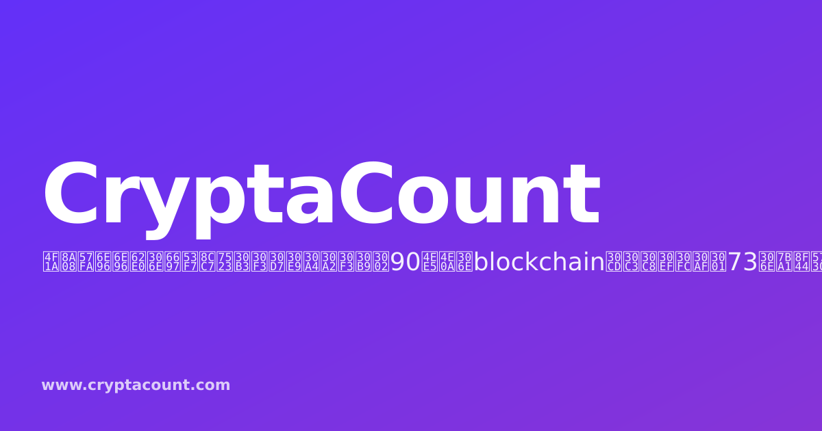 CryptaCount対Bitwave：暗号資産会計の正面比較